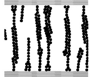 Cluster formation in simulation